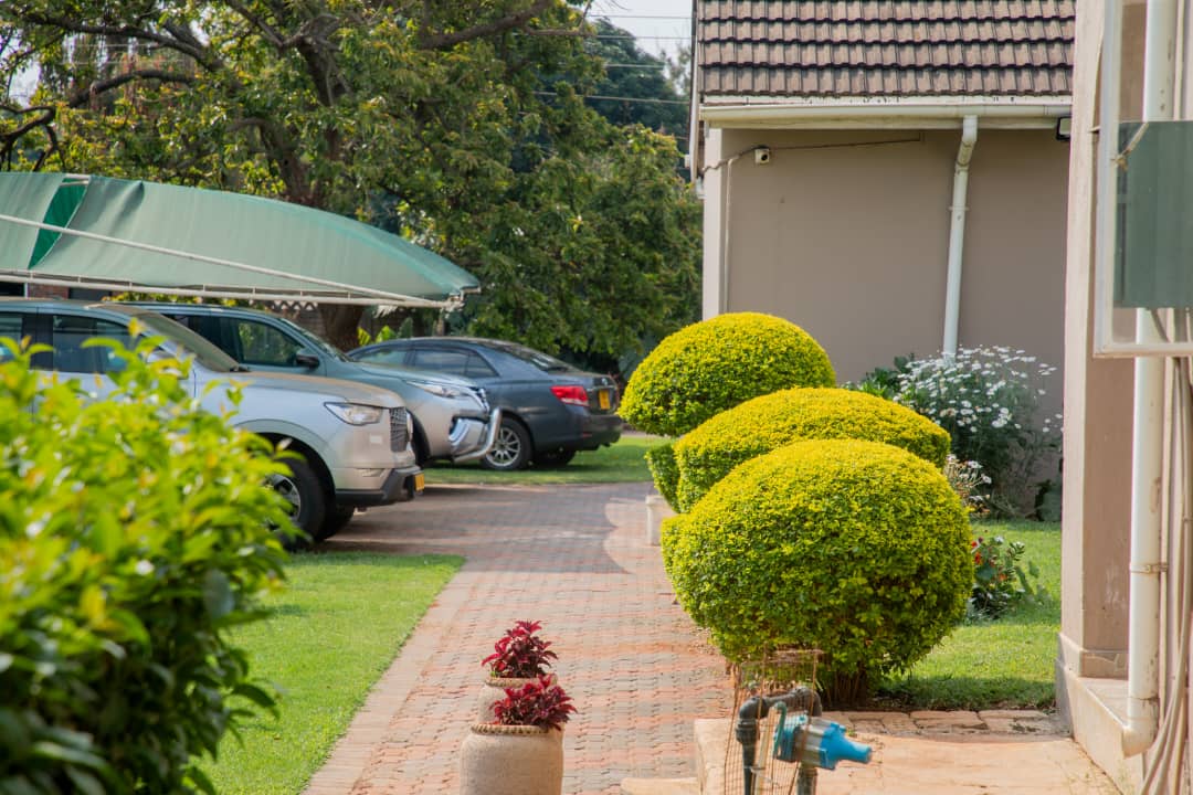Outdoor Garden